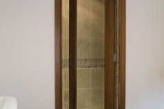 Shower Door